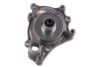 GK 980296 Water Pump